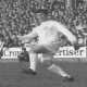 Johnny Giles (36.7K)